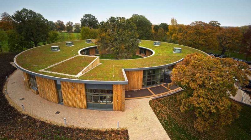 The Benefits of Green Roofs for Your Home or Business